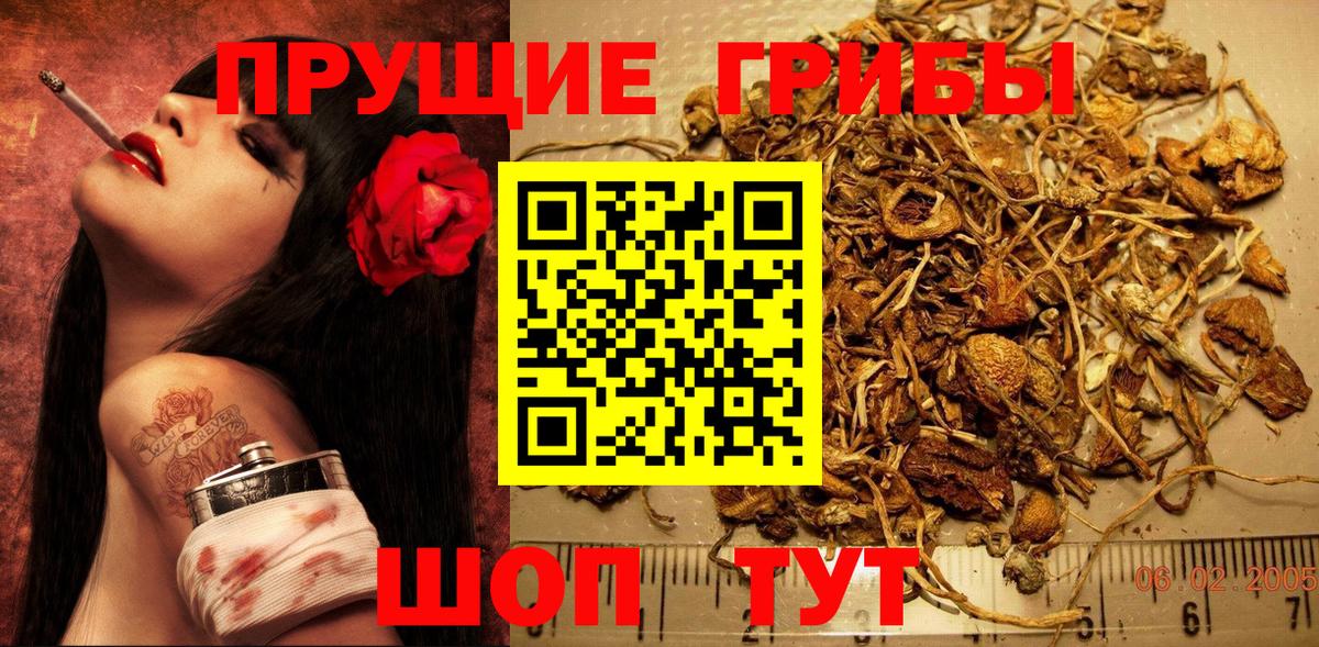 Псилоцибиновые грибы ЛСД Нефтеюганск